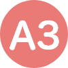 A3